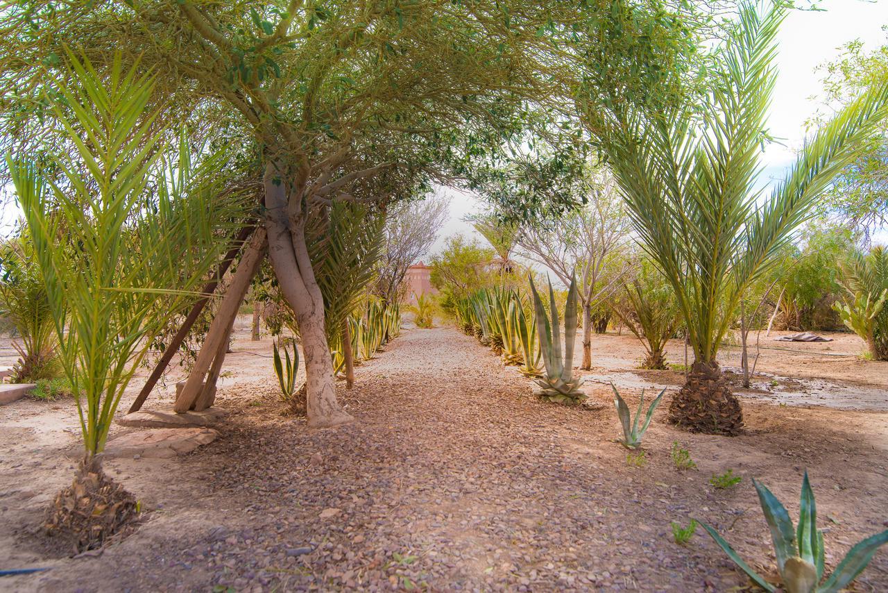 Kasbah Idriss Villa Ouarzazate Buitenkant foto